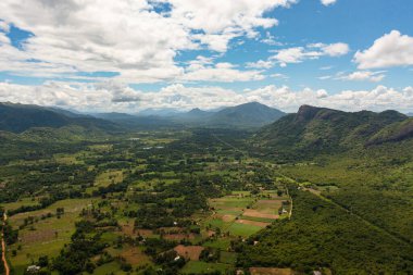 Orman ve yağmur ormanlarının arasındaki dağlarda tarım arazisi..