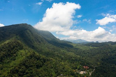 Aerial view of Fresh green foliage, tropical plants and trees covers mountains and ravine. Sri Lanka.