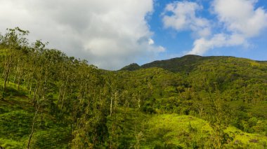 Sri Lanka 'daki dağlar ve yeşil tepeler. Dağların yamaçlarında hep yeşil bitkiler olacak..