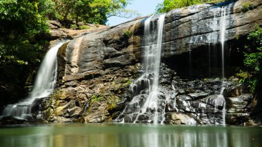 Tropikal ormanda bir dağ geçidinde sera ella şelaleleri. Sri Lanka. Tropikal ormanda şelale.