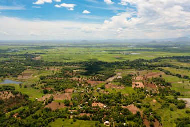 Vadide ekinleri olan tarım arazileri ve tarım arazilerinin havadan görünüşü. Kırsal alan. Sri Lanka.