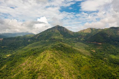 Tropik dağ sırası ve dağ yamaçlarında yağmur ormanları. Sri Lanka.