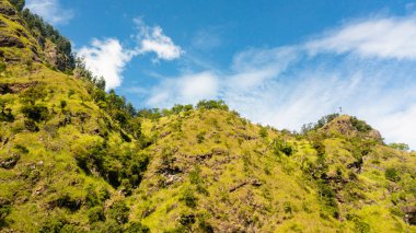 Taze yeşil yapraklar, tropikal bitkiler ve ağaçlar dağları ve vadiyi kaplar. Sri Lanka.