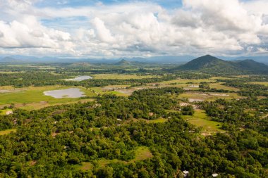 Pirinç tarlalarının ve dağların arasındaki bir vadideki tarım arazilerinin insansız hava aracı. Sri Lanka.