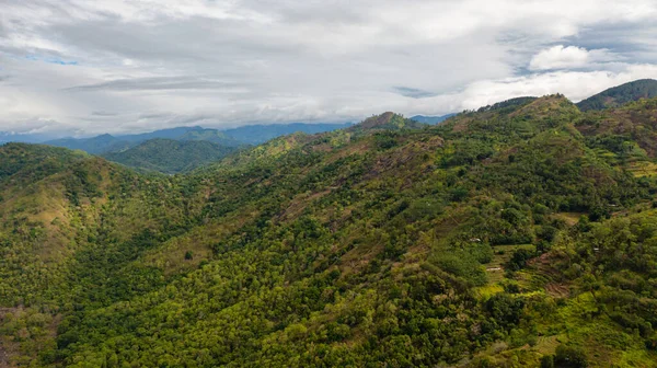 Montagne Con Foresta Pluviale Giungla Nella Zona Montuosa Dello Sri — Foto Stock