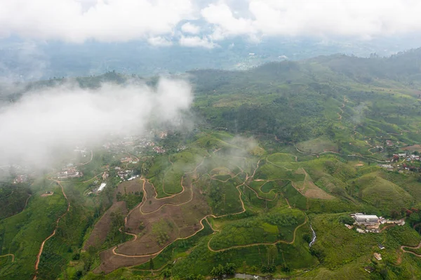 Вид Ландшафт Чайной Усадьбы Сквозь Облака Шри Ланка Пейзаж Зелеными — стоковое фото