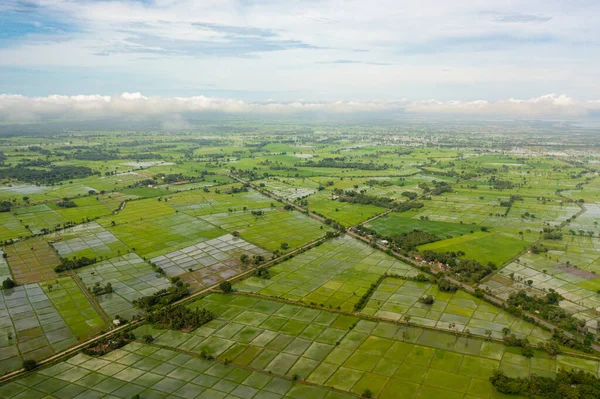 Αγροκτήματα Πράσινου Ρυζιού Αγροτικές Περιοχές Της Σρι Λάνκα — Φωτογραφία Αρχείου
