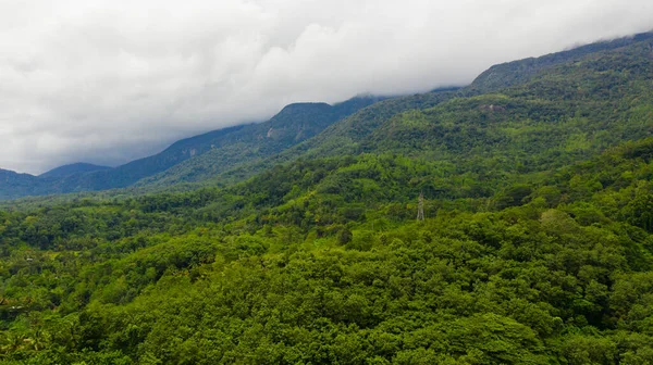 斯里兰卡山区热带雨林和农业用地的空中景观 — 图库照片