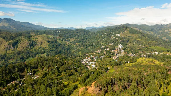Top View Agricultural Lands Tea Estates Hills Mountains Ella Sri — 图库照片