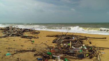 Sea coast after the storm. Environmental nature waste. Negombo, Sri Lanka.