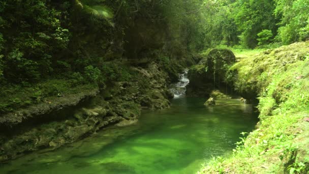 Річка Тропічний Ліс Літній День Бохол Філіппіни Деникоп Тікуган Весна — стокове відео