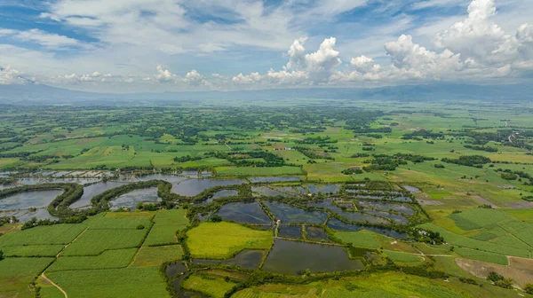 Flod Bland Risfält Och Jordbruksmark Jordbrukslandskap Floden Hinigaran Negros Filippinerna — Stockfoto