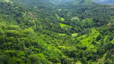 Sri Lanka 'nın dağlık bir vilayetindeki yağmur ormanları ve tarım arazileri ile dağların en üst görüntüsü.