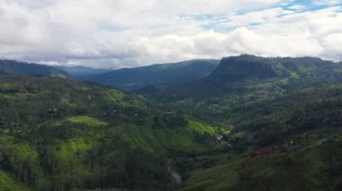Aerial view of Tea estate on the slopes of the mountains in Sri Lanka.Tea plantation landscape.
