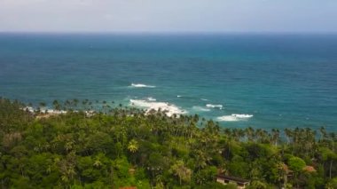 Palmiye ağaçları ve dalgalı deniz sörfü olan kumsal manzarası. Mirissa, Sri Lanka.