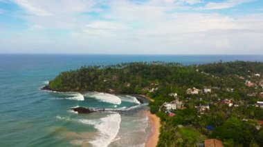 Kumsalın havadan görünüşü, yukarıdan turkuaz su manzaralı palmiye ağaçları. Mirissa, Sri Lanka.