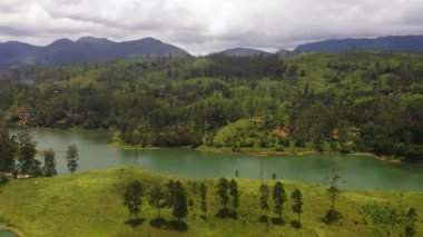 Aerial drone of Hills with tea plantations around the lake in the mountains. Maskeliya, Castlereigh, Sri Lanka.
