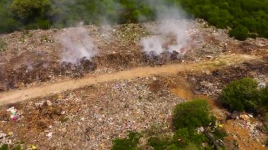 Yanan bir çöp yığınının üzerindeki kuşlar. Sri Lanka 'da Atık Doldur.