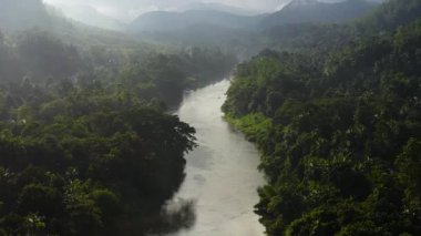 Orman ve yağmur ormanları arasındaki nehir sabahın erken saatlerinde güneş ışığıyla aydınlanır. Sri Lanka.