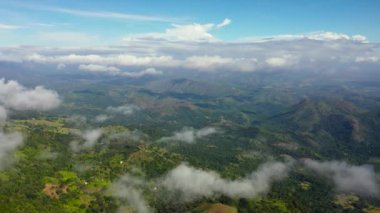 Mountains and green hills in Sri Lanka. Slopes of mountains with evergreen vegetation. Liptons Seat.