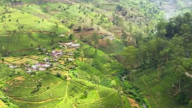 Çay tarlalarının arasındaki dağ yamaçlarındaki çiftçi köyü. Nuwara Eliya, Sri Lanka.