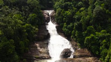 Yeşil bitki örtüsüyle çevrili tropikal bir ormanda orman şelalesi. Dağ ormanında Bopath Falls. Sri Lanka.