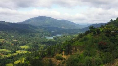 Dağların yamaçlarında çay tarlaları ve vadideki göller. Kotmale Barajı. Ramboda, Sri Lanka.