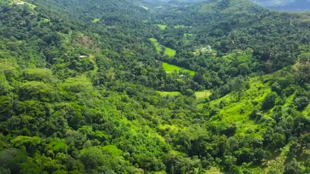 Άποψη Των Βουνών Τροπικό Δάσος Και Γεωργική Μια Ορεινή Επαρχία — Αρχείο Βίντεο