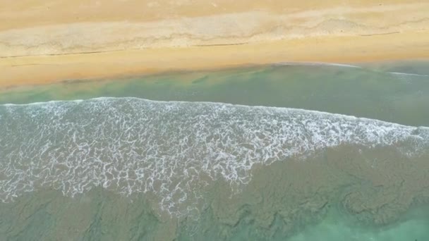 美しいニラヴェリビーチのトップビュー熱帯のビーチの風景 スリランカ トリンコマリー — ストック動画