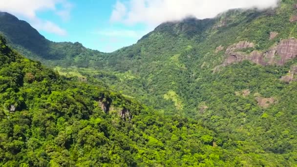 Tropical Mountain Range Mountain Slopes Rainforest Sri Lanka Riverston Sri — Stockvideo
