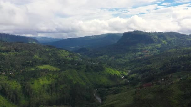Aerial View Tea Estate Slopes Mountains Sri Lanka Tea Plantation — Stock Video
