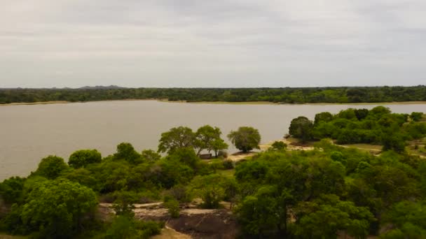 Vista Aérea Del Lago Entre Selva Selva Panama Wewa Lake — Vídeos de Stock