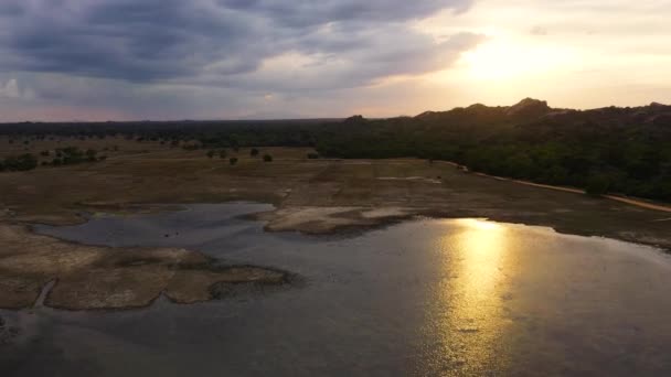 Aerial Drone Sunset Jungle Background Mountains National Park Sri Lanka — Stockvideo