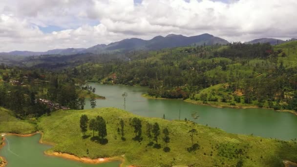 Hills Tea Plantations Lake Mountains Maskeliya Castlereigh Sri Lanka — Video Stock