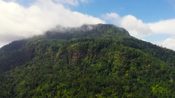 Tropisch Landschap Met Bergen Jungle Sri Lanka — Stockvideo