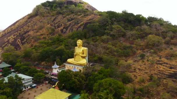 Aerial View Buddha Statue Hill Slope Sri Lanka — Stockvideo