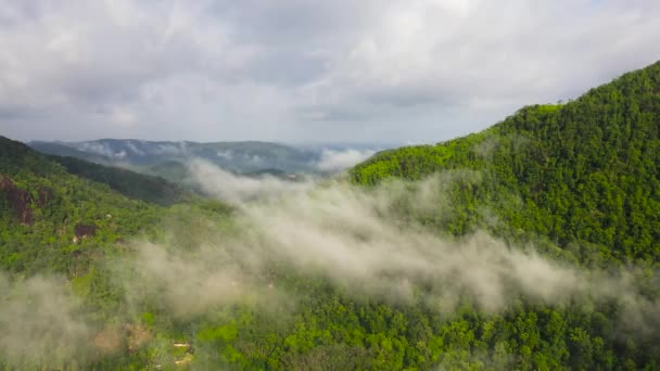Montagne Con Foresta Pluviale Giungla Nella Provincia Montuosa Dello Sri — Video Stock