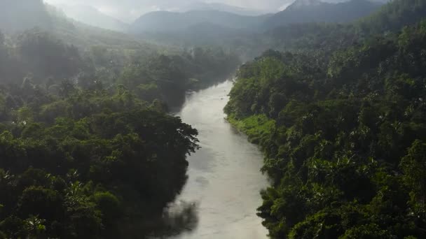 Rivière Entre Jungle Forêt Tropicale Est Éclairée Par Lumière Soleil — Video