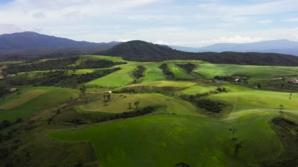 Dağlık Bölgede Yeşil Çimleri Otlakları Olan Tepeler Ambewela Nuwara Eliya — Stok video