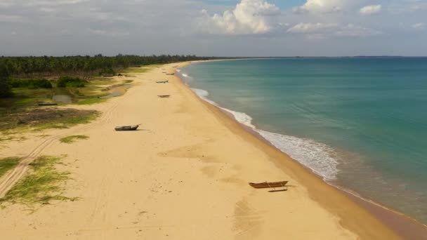 Vista Aérea Praia Tropical Com Palmeiras Praia Kalkudah Sri Lanka — Vídeo de Stock