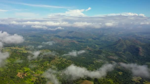Βουνά Και Πράσινοι Λόφοι Στη Σρι Λάνκα Πλαγιές Βουνών Αειθαλή — Αρχείο Βίντεο