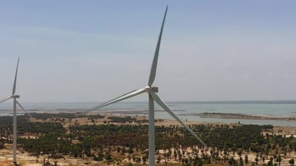 Kıyı Şeridinde Rüzgar Türbinleri Rüzgar Santrali Jaffna Sri Lanka — Stok video