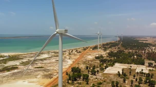 Vista Superior Grupo Turbinas Eólicas Costa Jaffna Sri Lanka Centrais — Vídeo de Stock