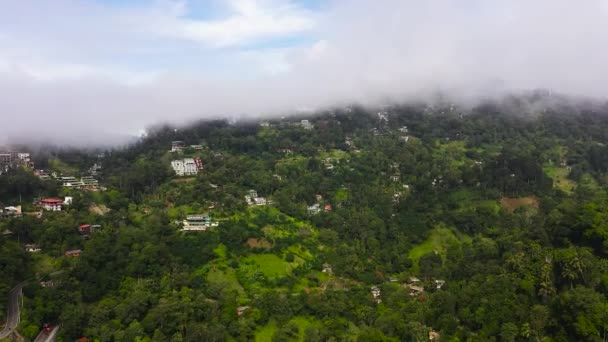 在布满雾气和云彩的山坡上 空中的房屋低空飞行 Ella 斯里兰卡 — 图库视频影像