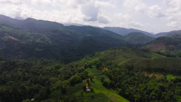 Aerial View Tea Plantations Agricultural Land Mountains Hills Jungle Sri — Wideo stockowe