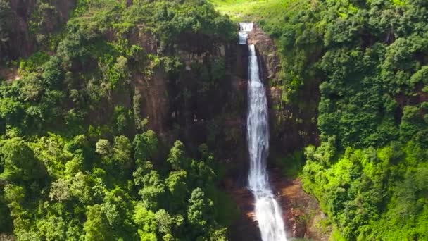 茶畑の間の山の中で美しい滝 ガルトモアが落ちる スリランカのマスケリヤ — ストック動画