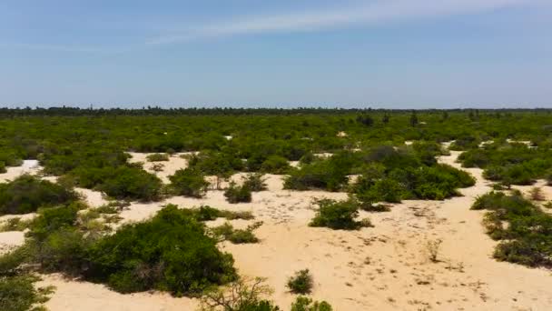Vista Aérea Del Paisaje Del Desierto Con Vegetación Arbustos Manalkaadu — Vídeos de Stock
