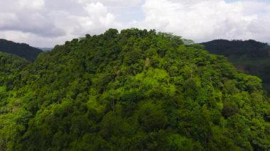 Ormanla kaplı dağ tepeleri olan dağ manzarası. Dağların yamaçlarında hep yeşil bitkiler olur. Sri Lanka.