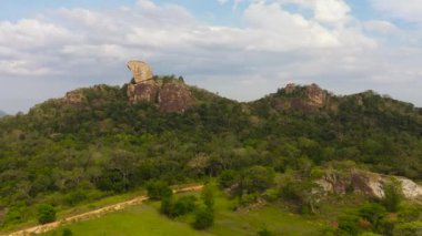 Tropikal orman ormanıyla Sri Lanka 'nın hava manzarası.