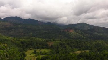 Yağmur ormanı ve bulutlu dağların havadan görünüşü. Sri Lanka.